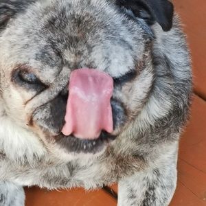 Meet your Posher, Lana